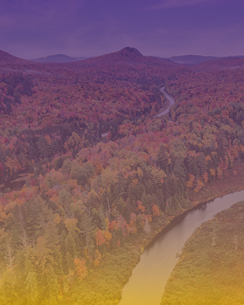 UpstateNY